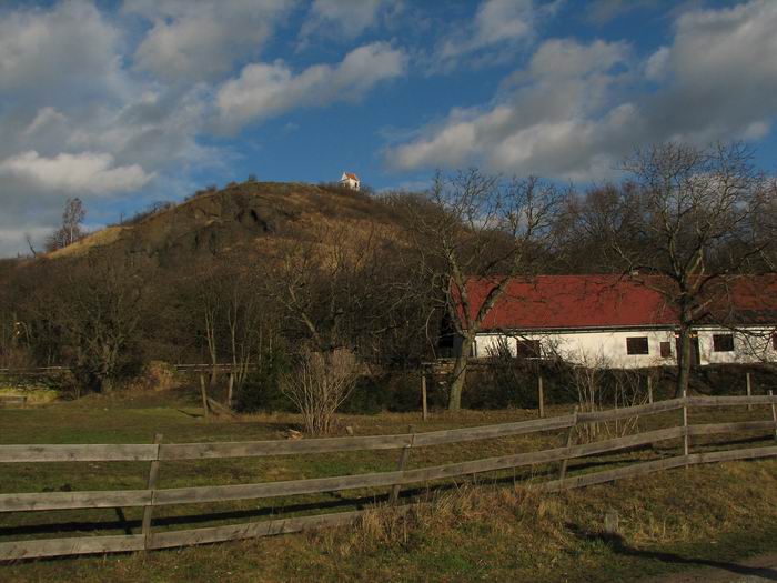 zebín