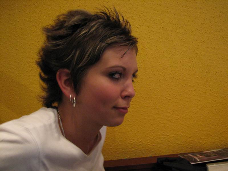 Liška podšitá