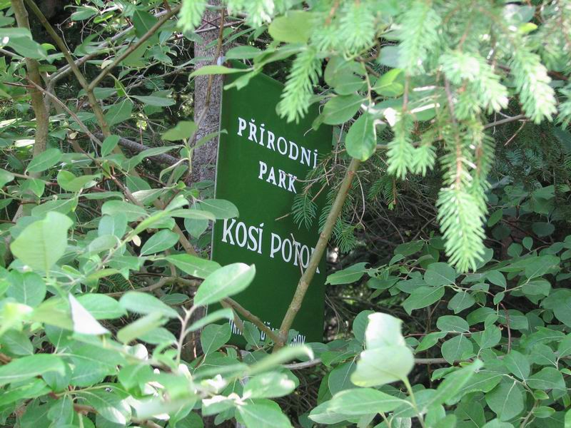 Kosí potok