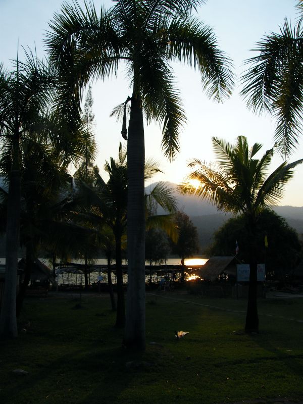 palmy