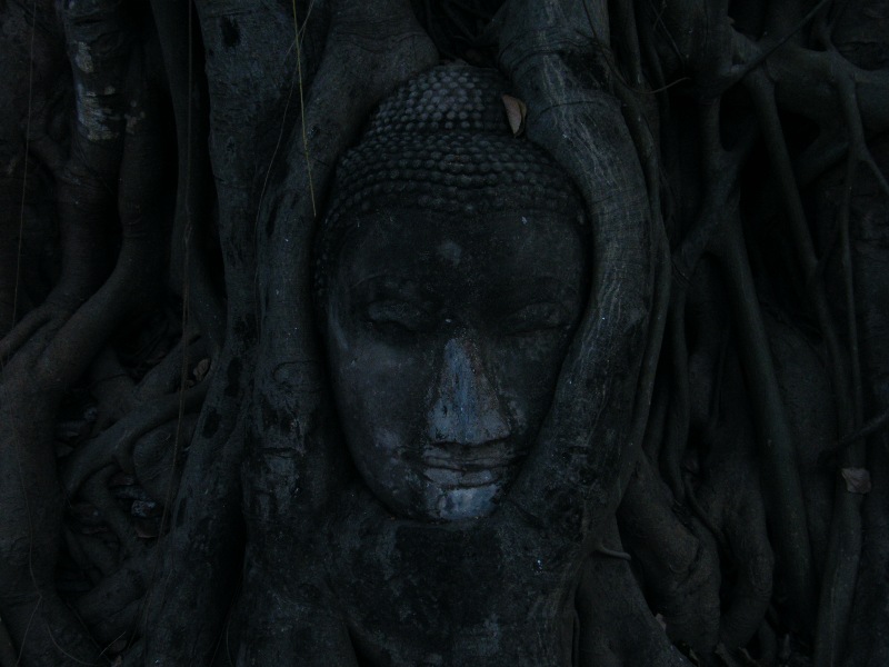 obrostlý buddha