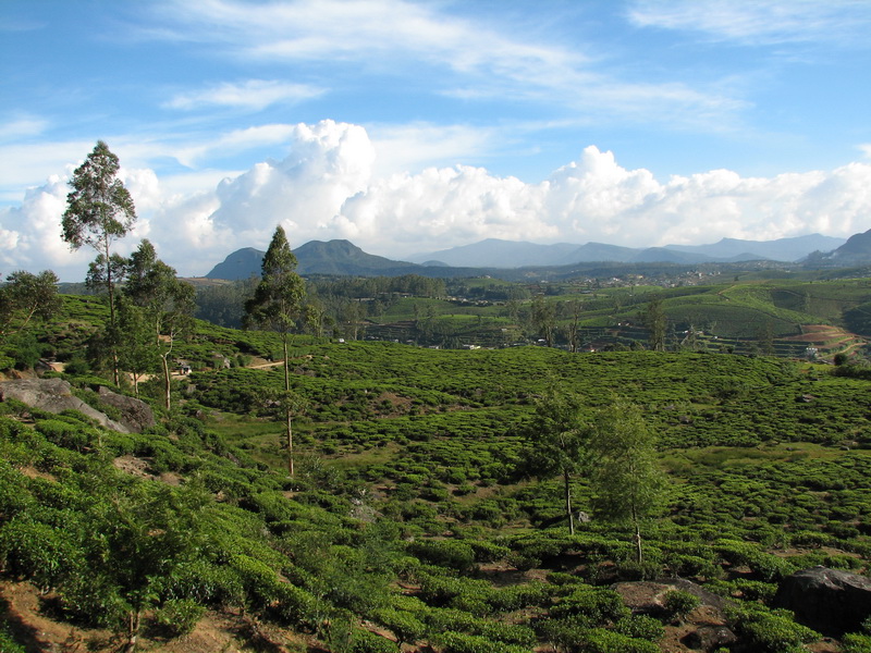Nuwara Eliya - krajina