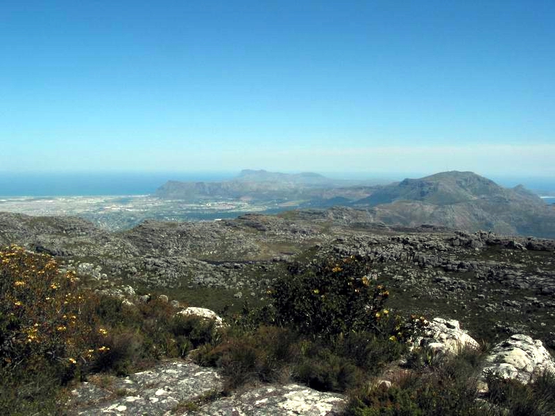 Table mountain