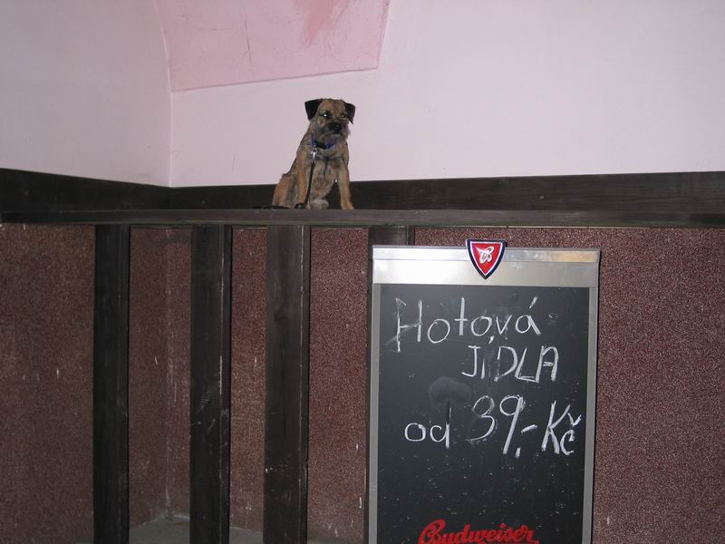 Hotovka za 39,-