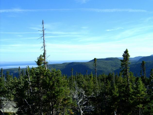 krkonoše
