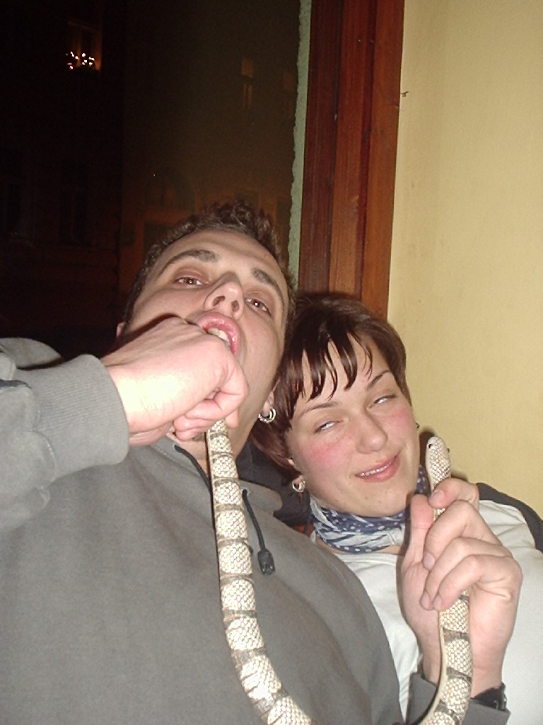 omámeni hadem