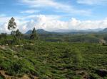 Nuwara Eliya - krajina