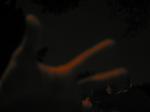 foto0106