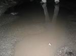 137-3702 IMG