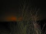 137-3775 IMG