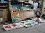 Hutong - akvaristika